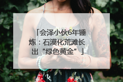 会泽小伙6年锤炼：石漠化荒滩长出“绿色黄金”